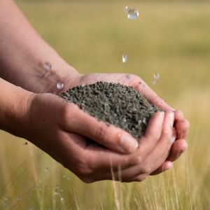 UNDO Carbon Offset – Basalt Enhanced Rock Weathering