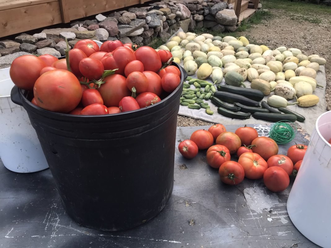 pure farmfresh